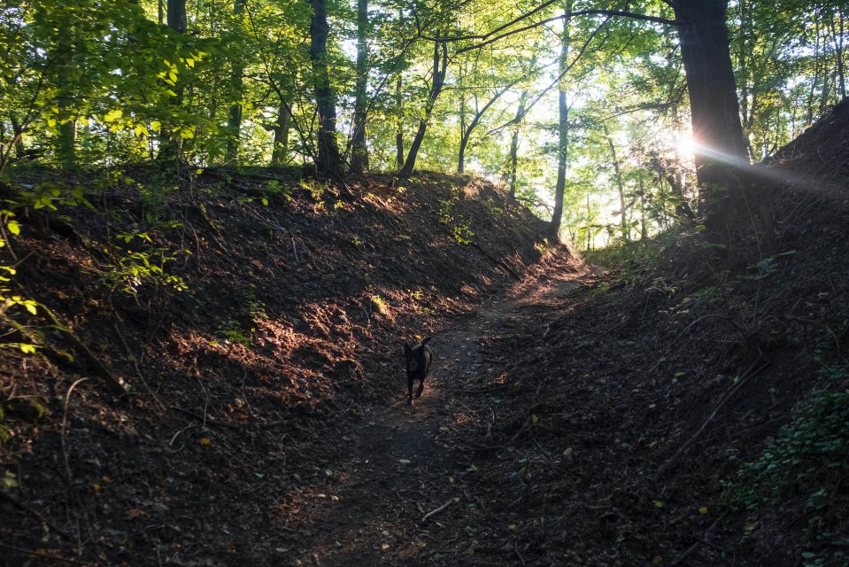 Vyvažování dne a noci_18