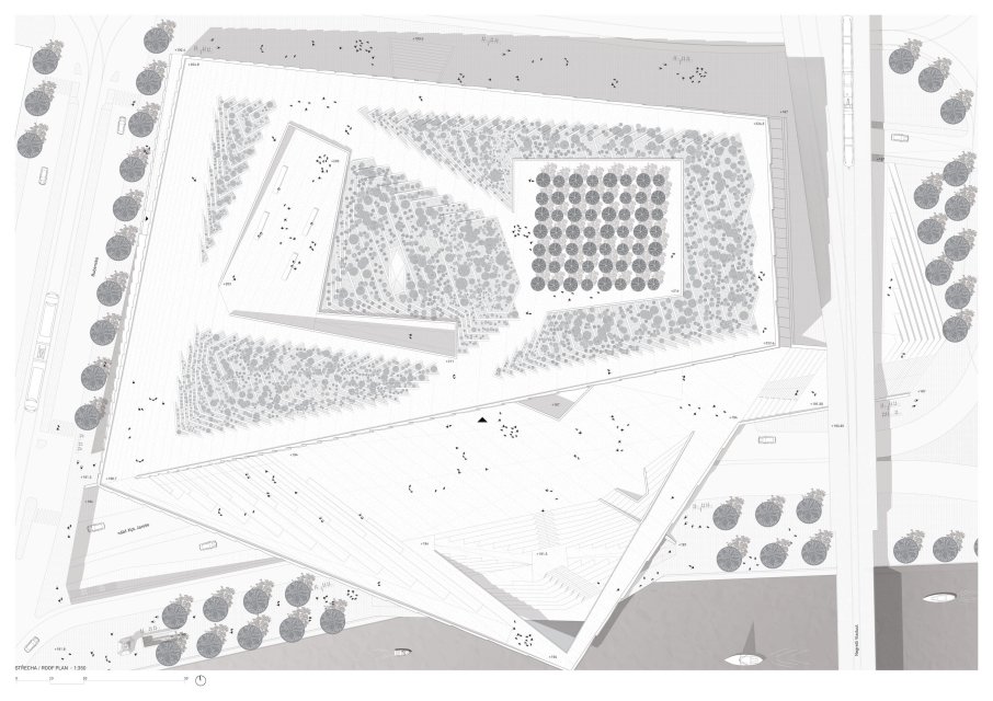 snøhetta_8_Roof Plan.jpg