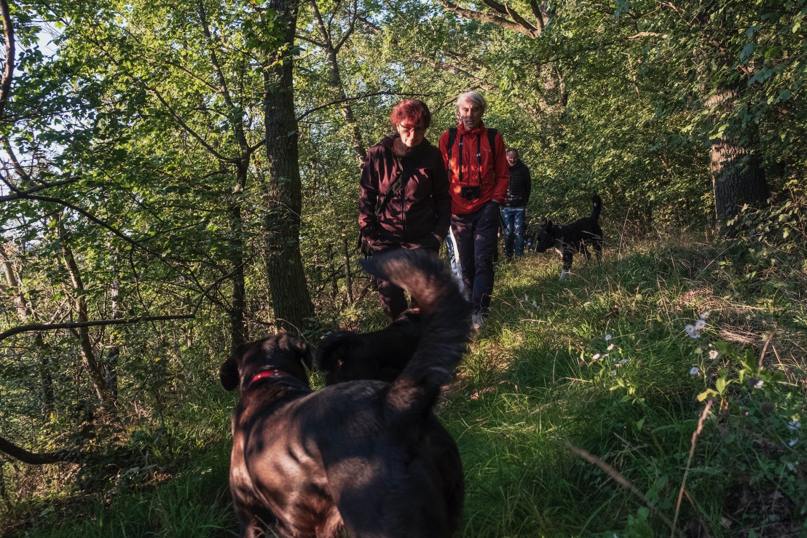 Vyvažování dne a noci_21