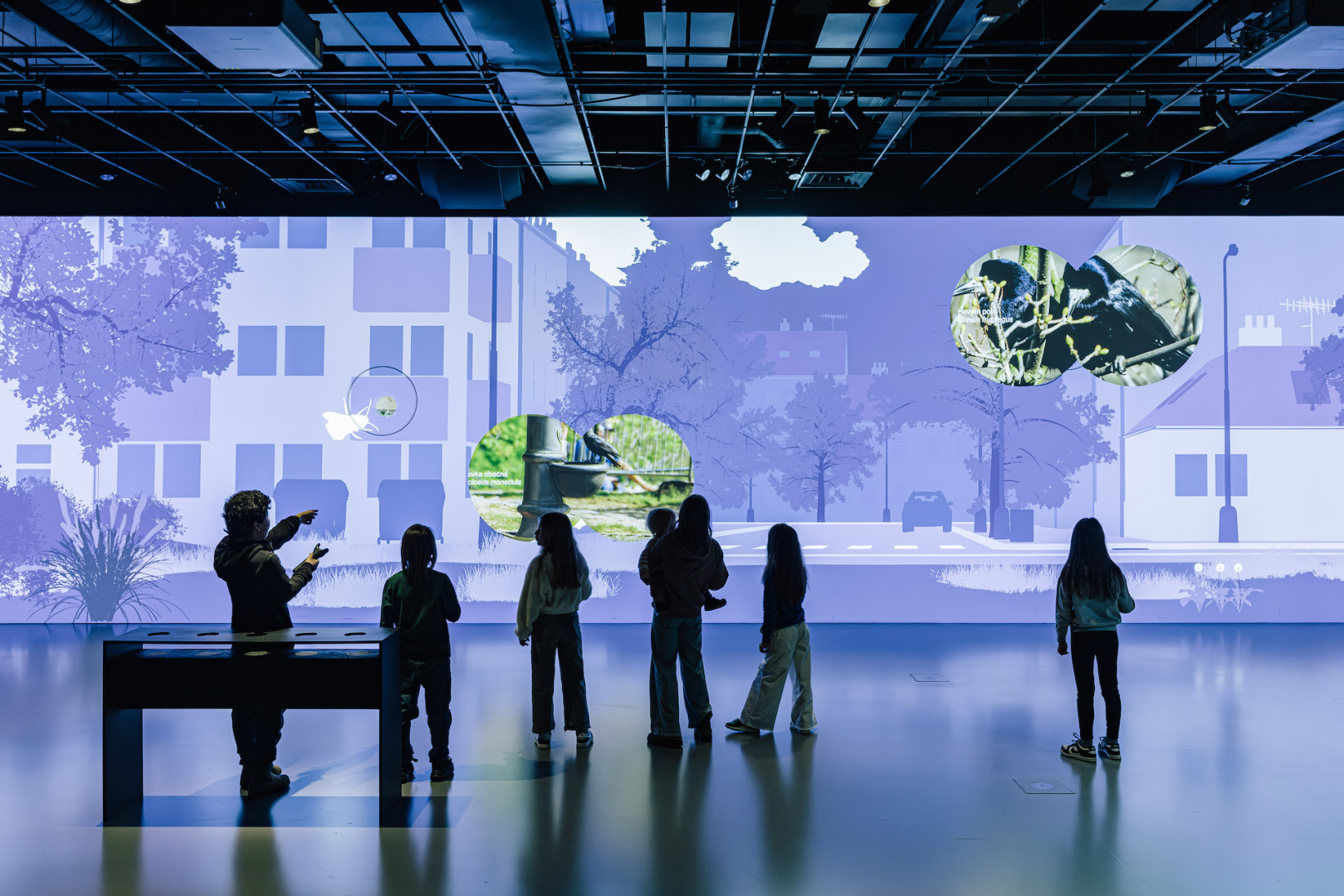 Ilustrační obrázek aktuality