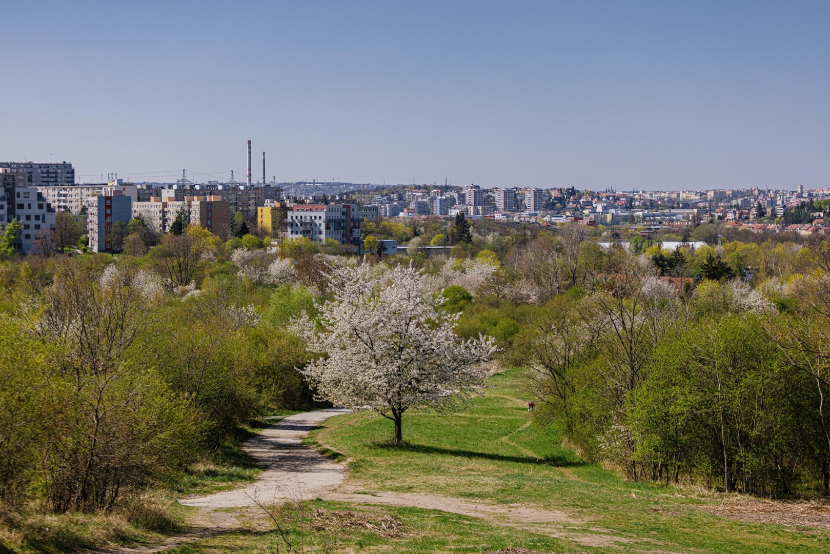 Ilustrační obrázek aktuality