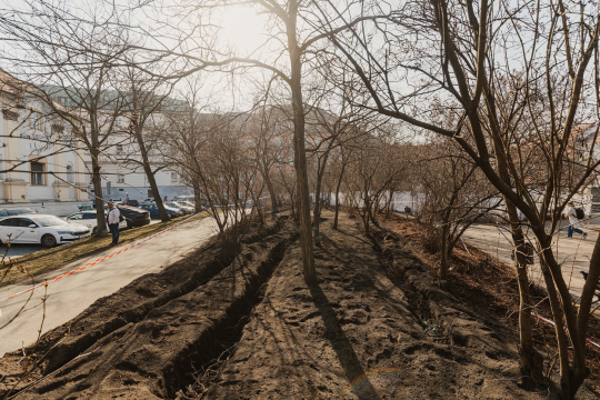 Ilustrační obrázek aktuality