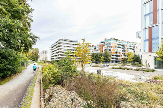 Ilustrační obrázek aktuality