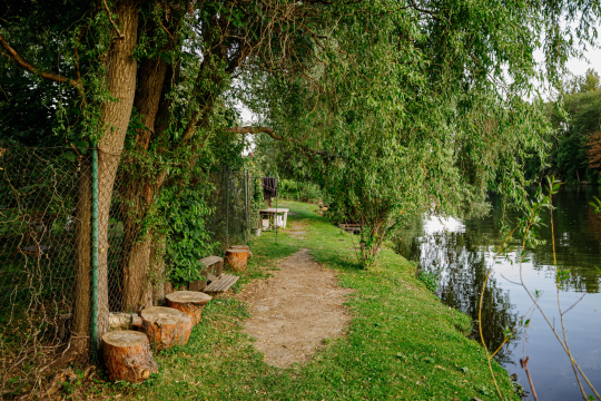 Ilustrační obrázek aktuality